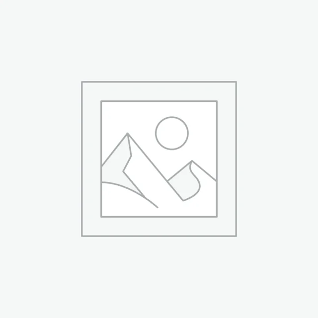 Auto-Organizer